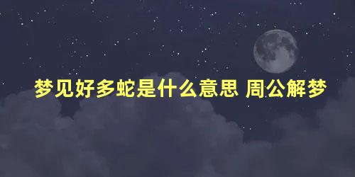 梦见好多蛇是什么意思 周公解梦